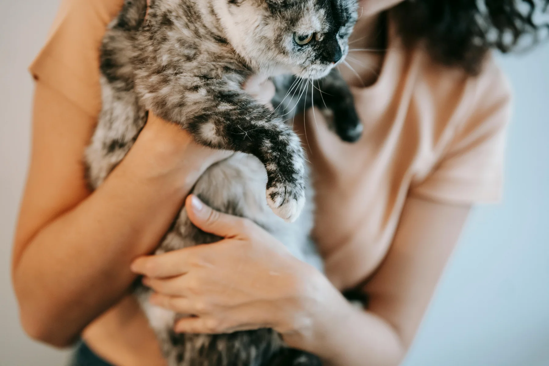 Katze erhält sanfte Betreuung zuhause
